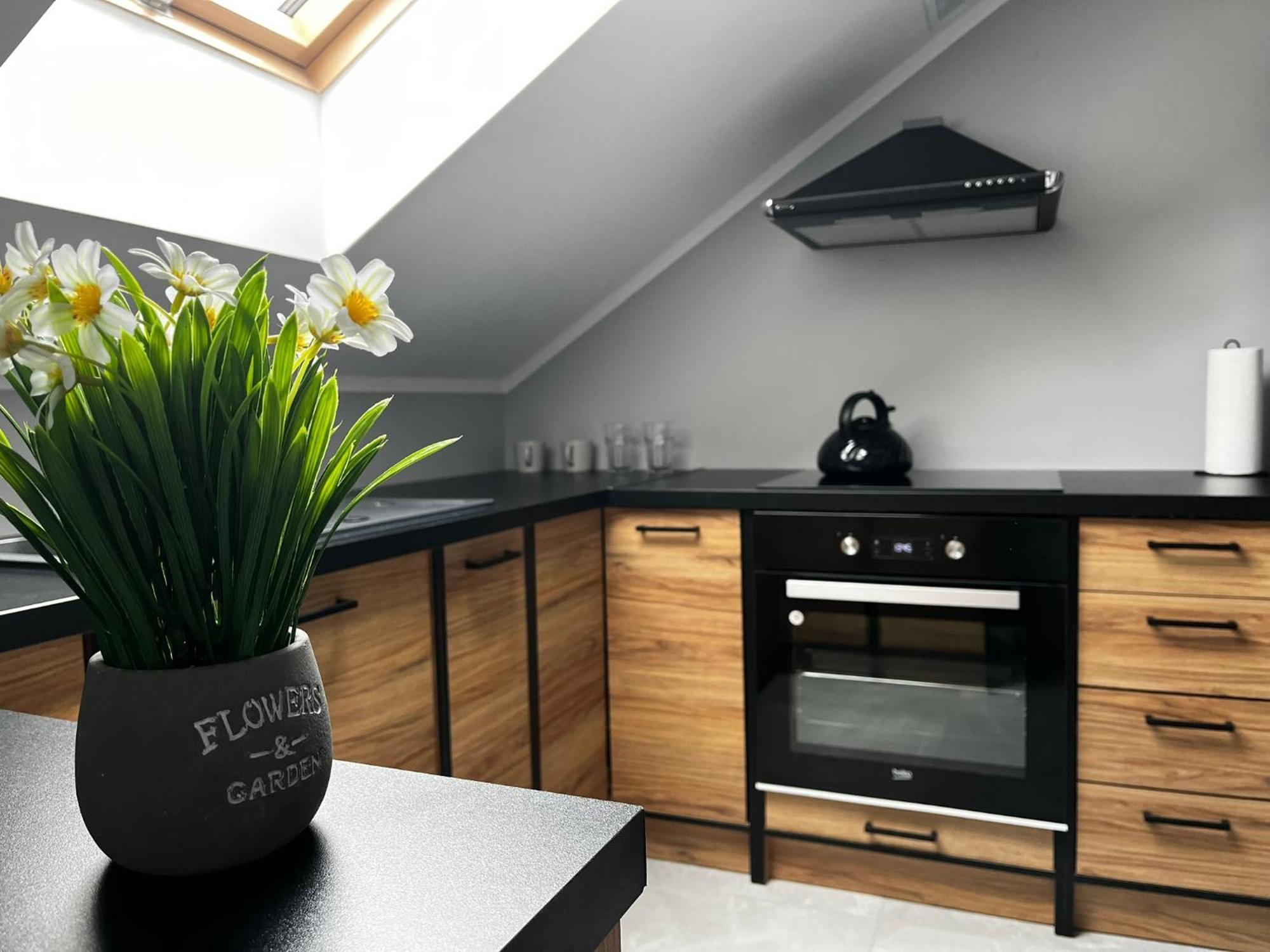 Beskid Rest Apartments Żywiec Dış mekan fotoğraf