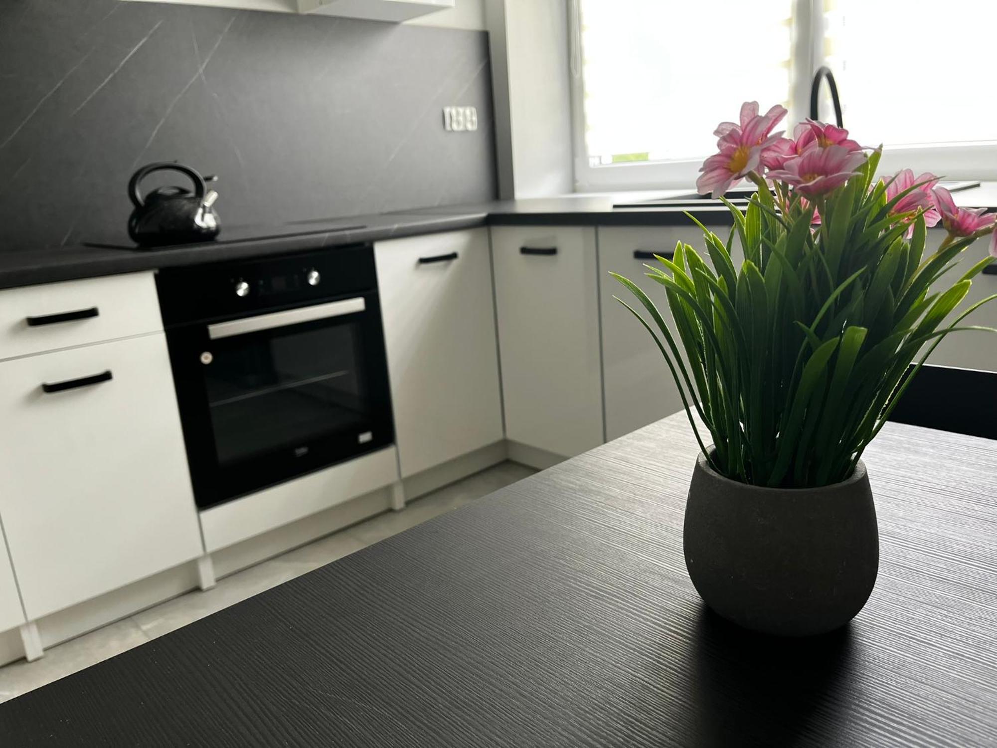 Beskid Rest Apartments Żywiec Dış mekan fotoğraf