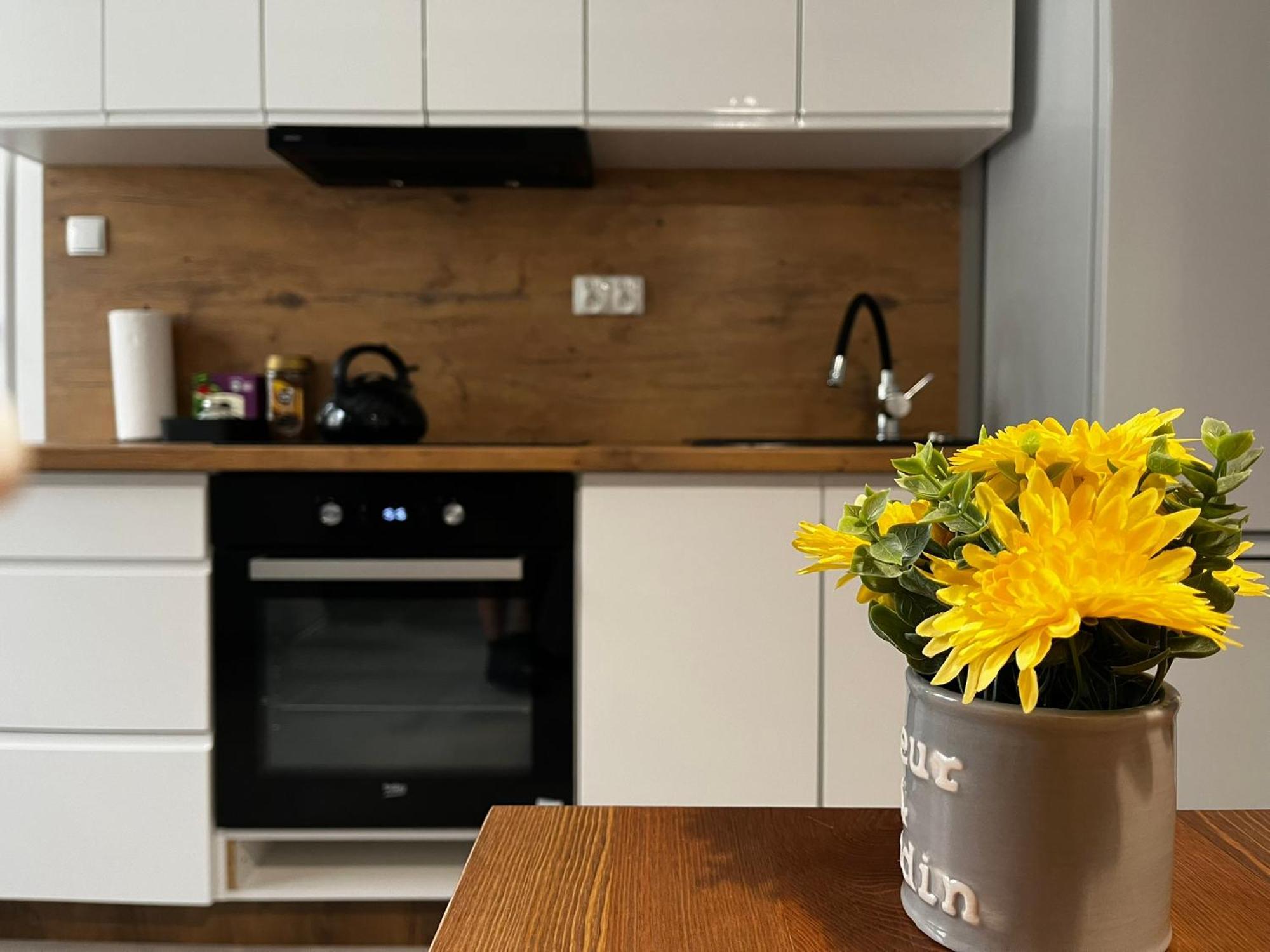 Beskid Rest Apartments Żywiec Dış mekan fotoğraf