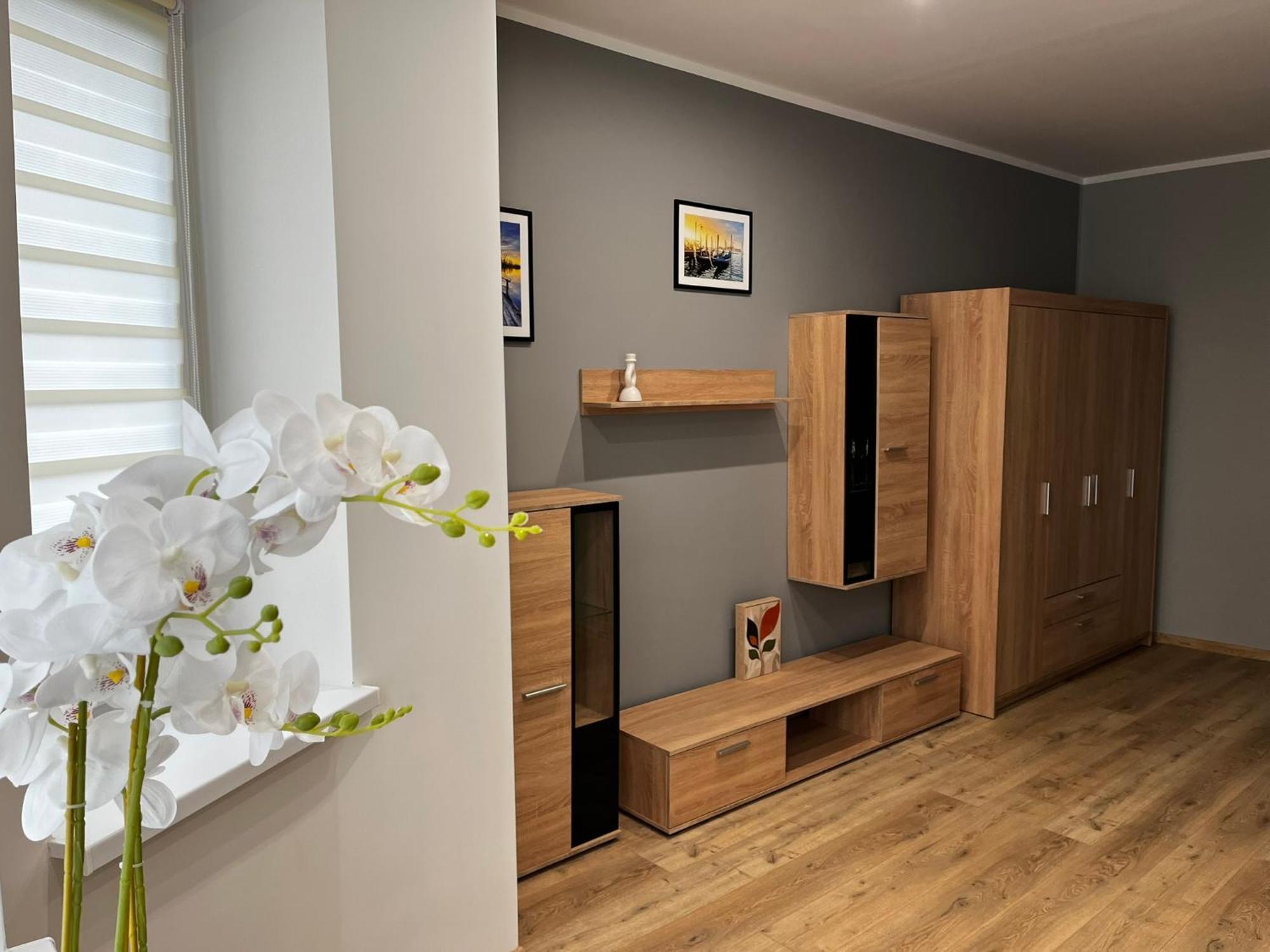 Beskid Rest Apartments Żywiec Dış mekan fotoğraf